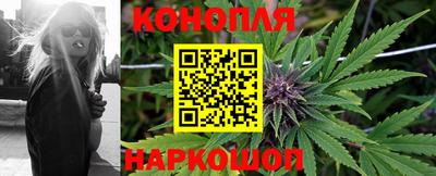 гашик Братск
