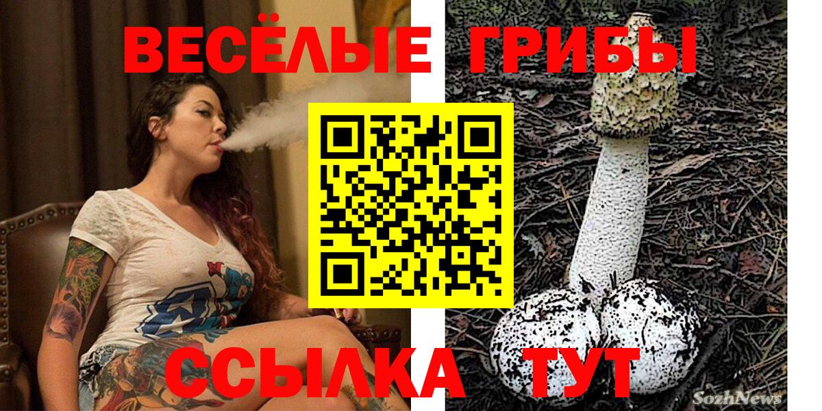 Псилоцибиновые грибы прущие грибы  Псилоцибиновые грибы ЛСД  Вход с VPN  Севастополь 
